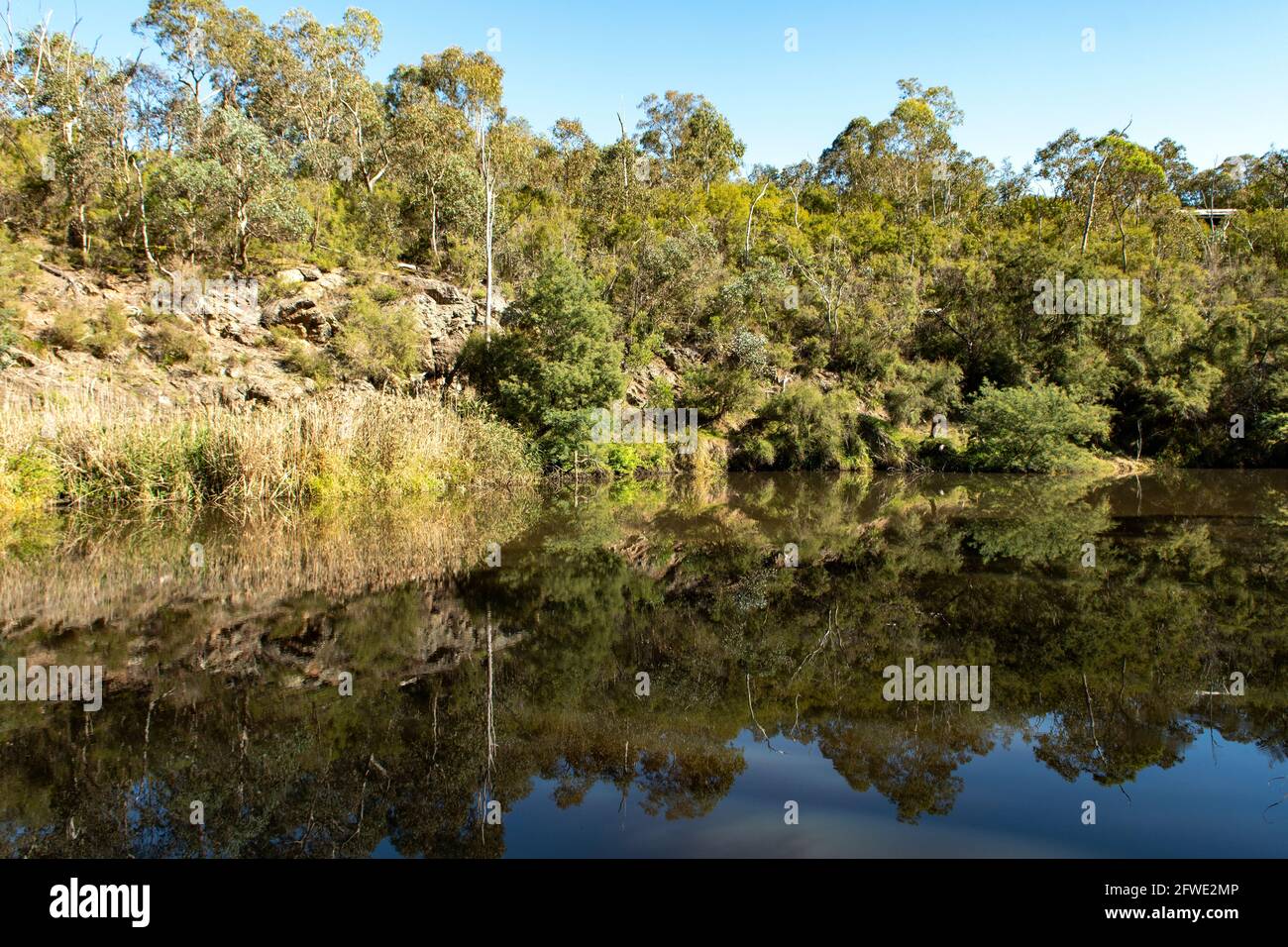 Yarra River Reflections, Jumping Creek Reserve, North Warrandyte, Victoria, Australia Foto Stock