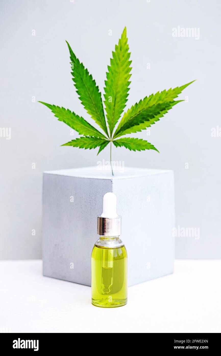 Cosmetici CBD olio e foglie di cannabis. Moderna natura morta di bottiglie di vetro con olio di canapa, tintura THC, foglie di canapa e forma geometrica cubica Foto Stock