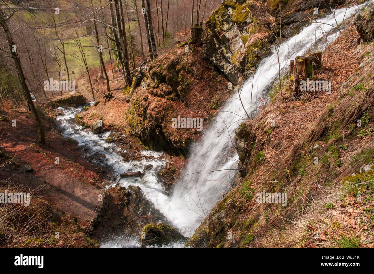 Cascata Fahler vicino a Todtnau, foresta nera, Baden-Württemberg, Germania Foto Stock