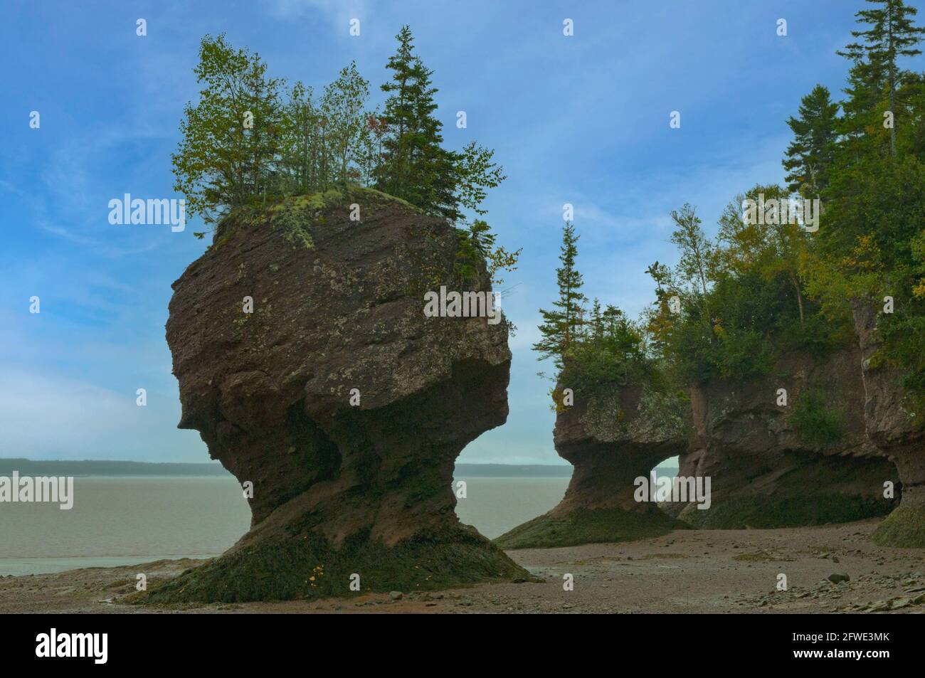 I flowerpots, Hopewell Rocks, New Brunswick, Canada Foto Stock