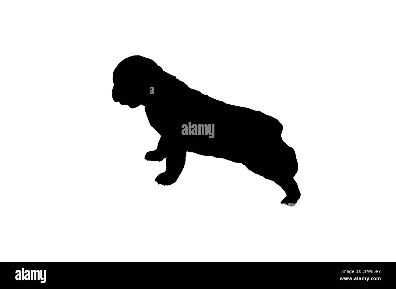 Silhouette di un pastore dell'Asia centrale su sfondo bianco. Cucciolo Turkmen Alabai con coda tagliata. Allevamento di cani, canile. Animali domestici. Vista laterale. Illustrazione Vettoriale