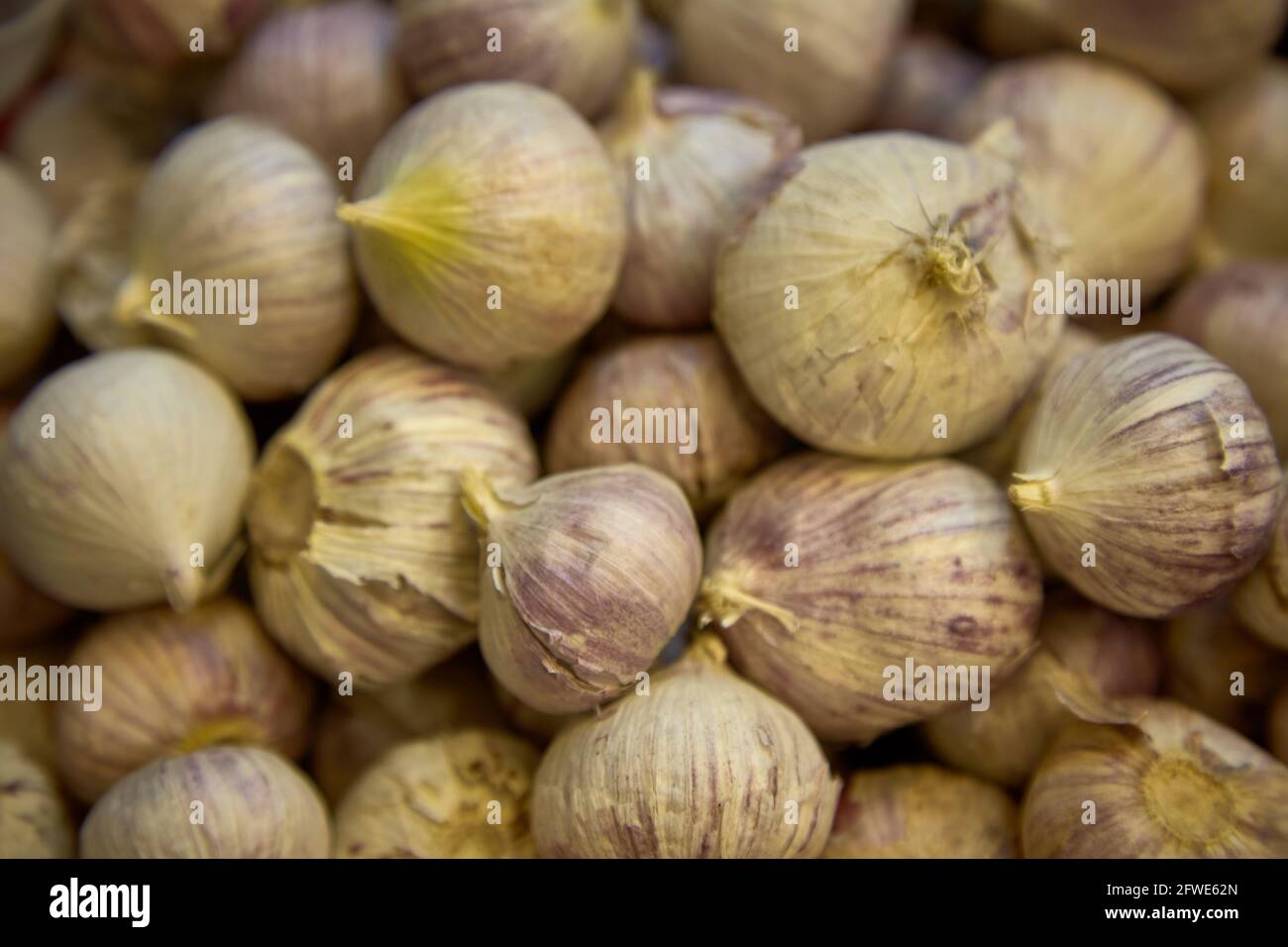 Cipolle scalogno in vendita in una bancarella di mercato nel mercato Tai Yuen di Hong Kong. Foto Stock