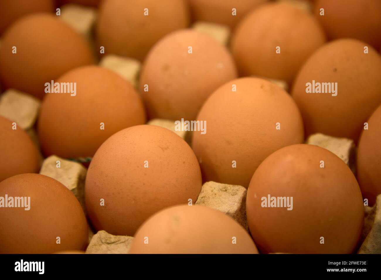 Un punnet di uova fresche in vendita in una stalla nel mercato Tai Yuen di Hong Kong Foto Stock