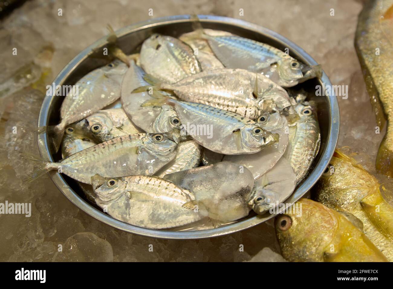 Pesce fresco in vendita al mercato Tai Yuen di Hong Kong. Foto Stock