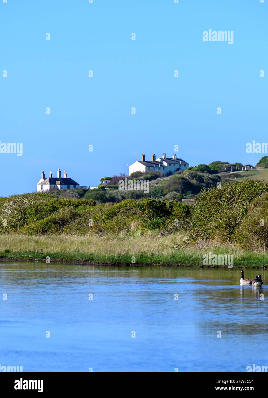 Una vista al Cuckmere Haven che mostra acqua, oche e cottage Foto Stock