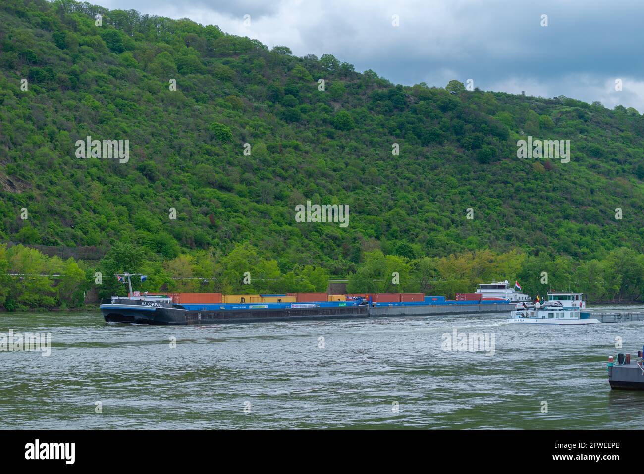 Navigazione nelle acque interne, nave olandese container sul fiume Reno vicino a Boppard, Valle del Reno, patrimonio mondiale dell'UNESCO, Renania-Palatinato, Germania Foto Stock