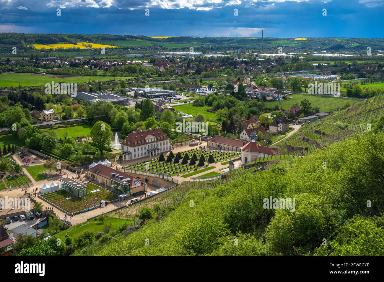 Weinwanderweg Sachsen, Schloss Wackerbarth, Weinberge im Frühling im frischen Grün, mai Foto Stock
