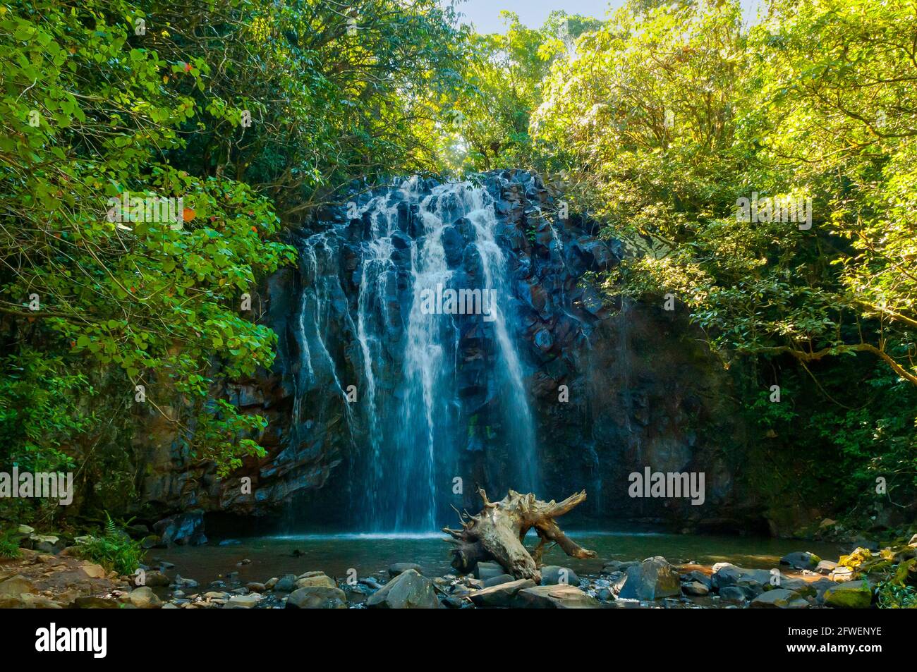 Ellinjaa Falls, altopiano di Atherton, Queensland, Australia Foto Stock