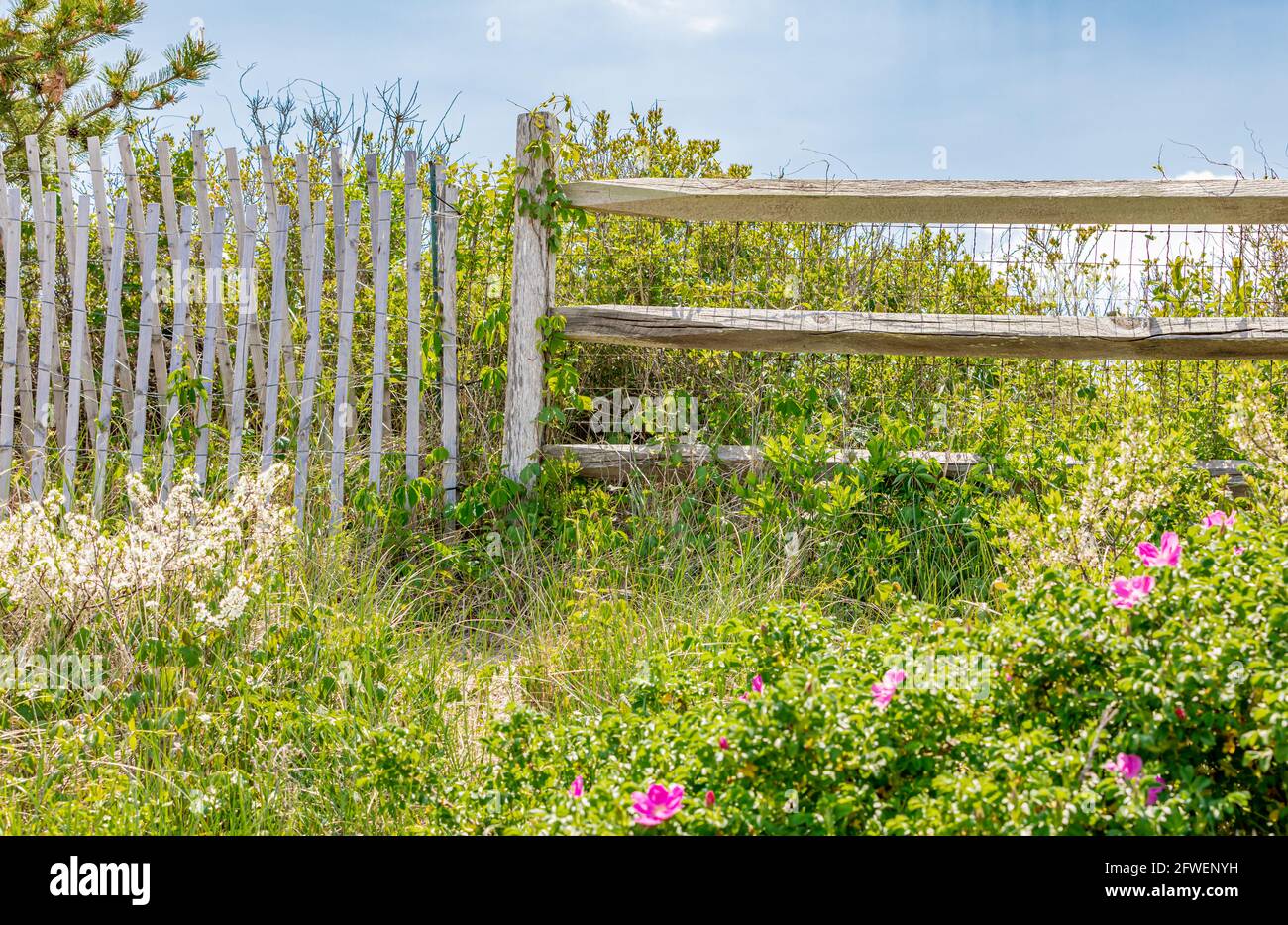 Sfondo costituito da due tipi di recinzioni sulla spiaggia di East Hampton, NY Foto Stock