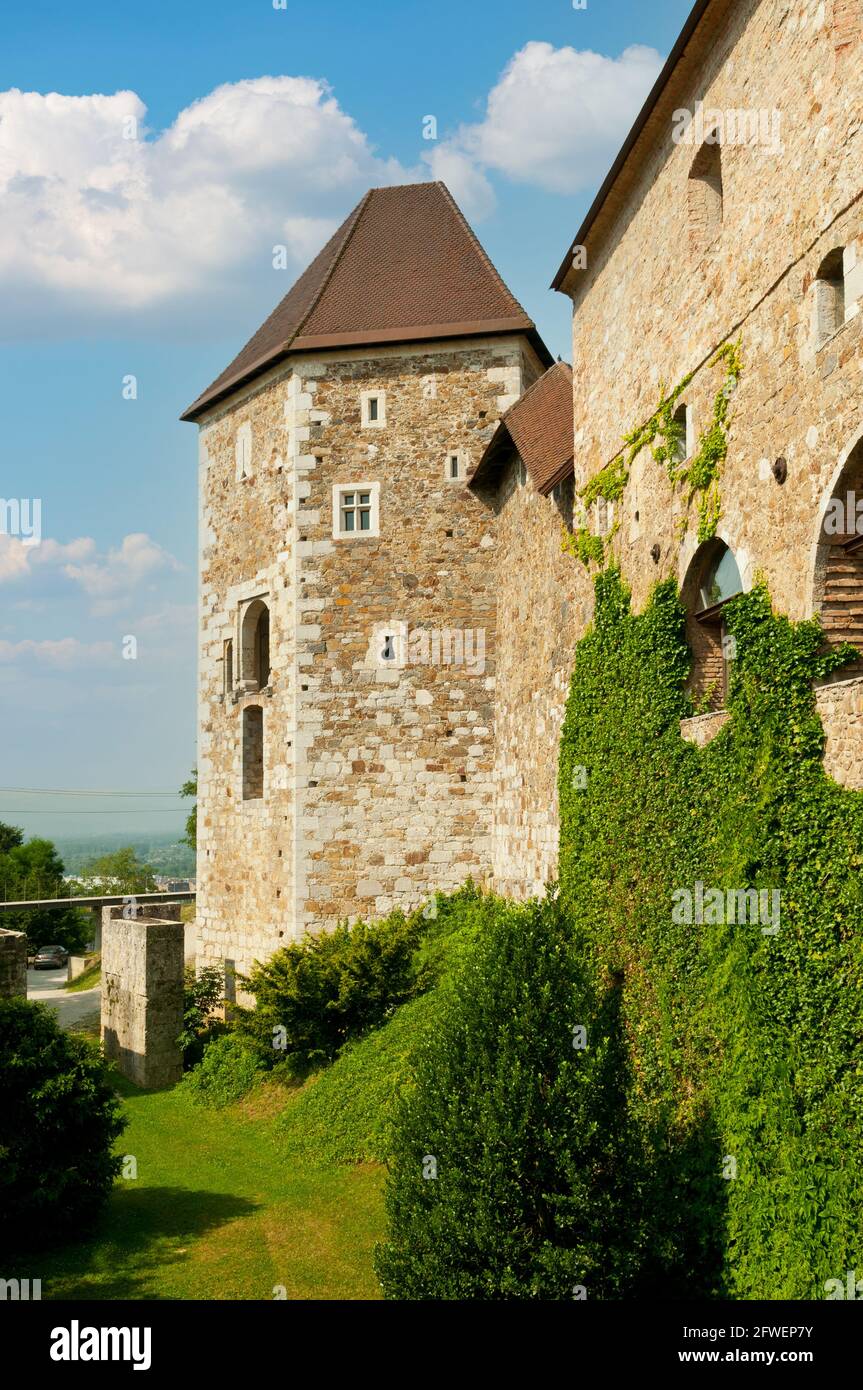 Castello di Ljubljana, Lubiana, Slovenia Foto Stock