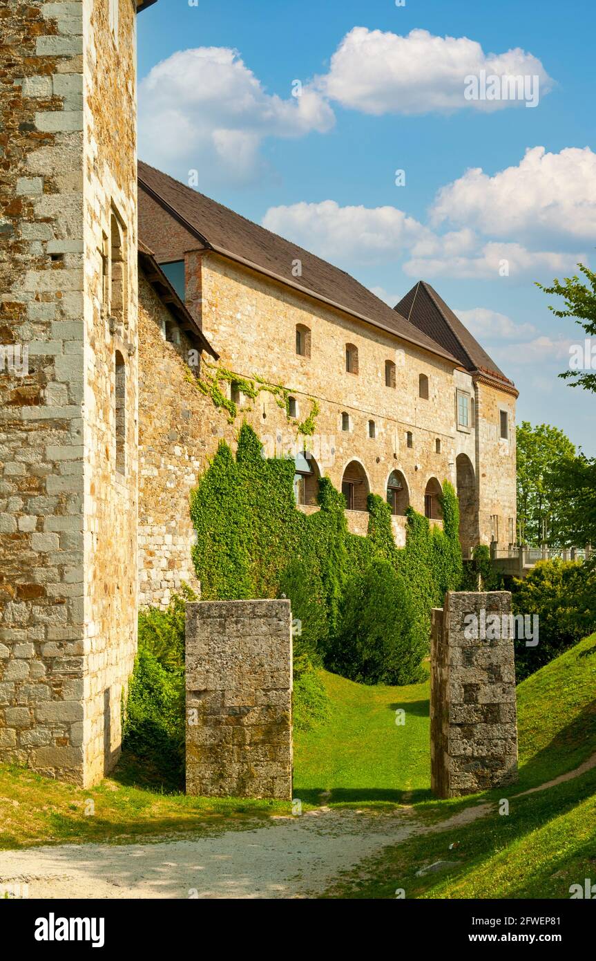 Castello di Ljubljana, Lubiana, Slovenia Foto Stock