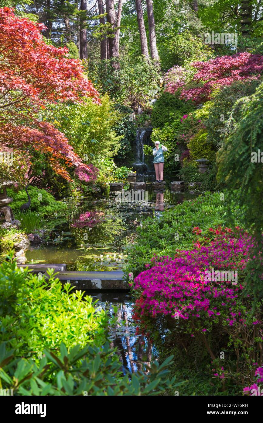 Compton Acres Gardens, Canford Cliffs, Poole, Dorset UK a maggio Foto Stock