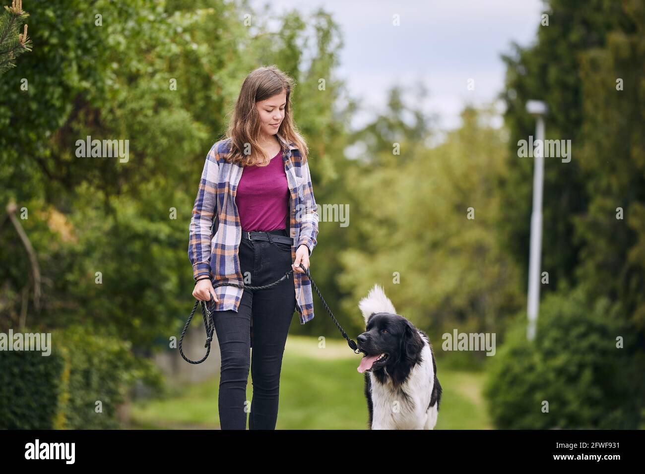 Giovane ragazza durante la passeggiata in città con il suo cane di montagna ceco felice sul guinzaglio animale domestico. Foto Stock