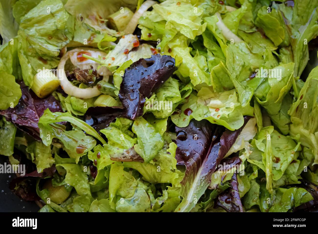 Insalata mista Foto Stock