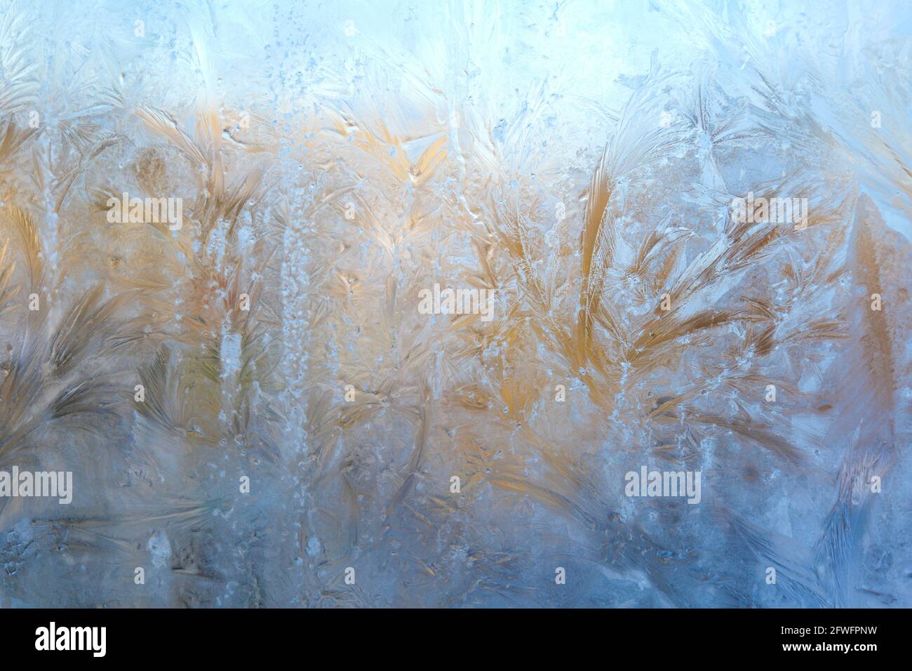 finestra congelata. disegni gelidi su vetro Foto Stock