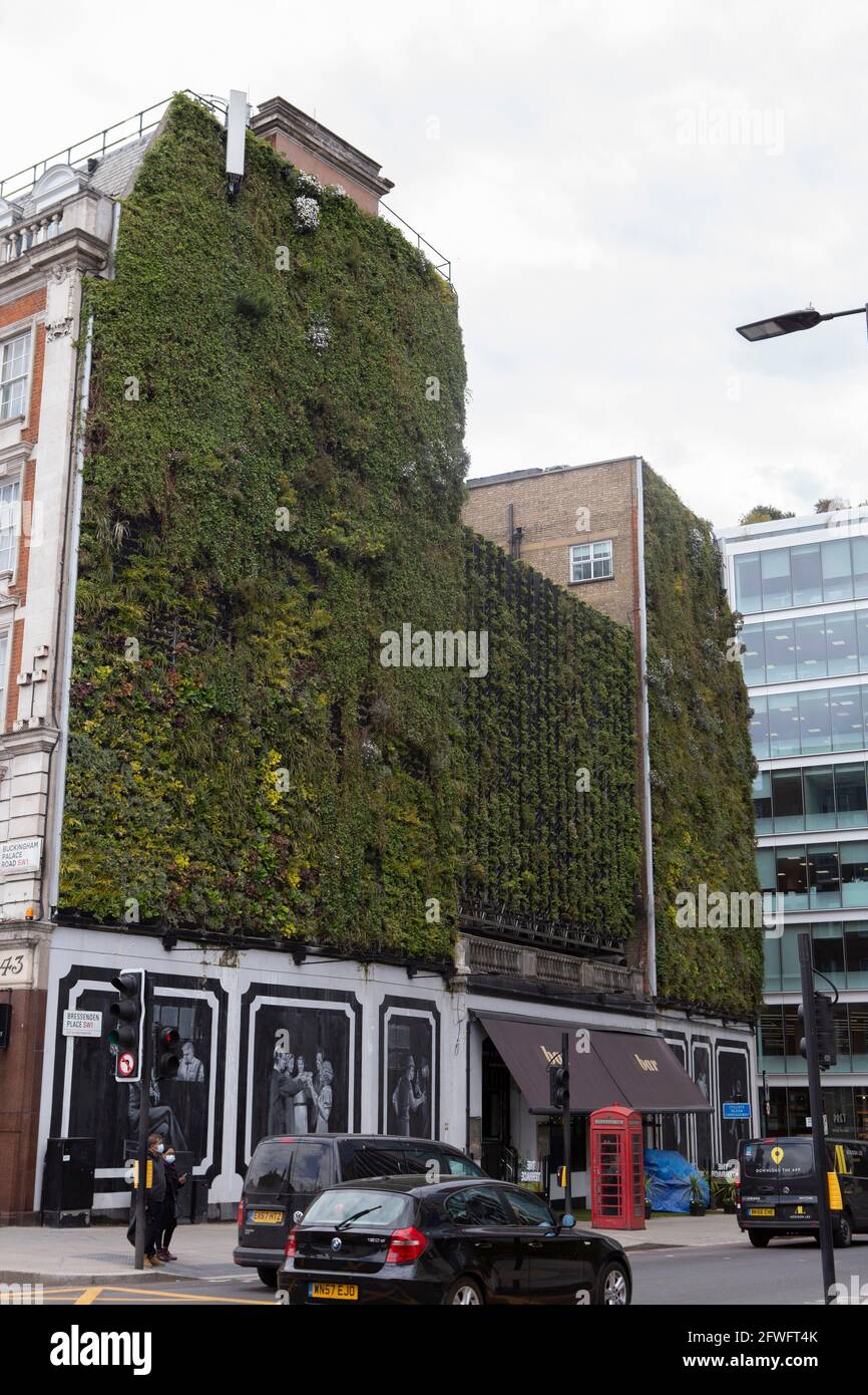 Giardino verticale su un edificio Foto Stock