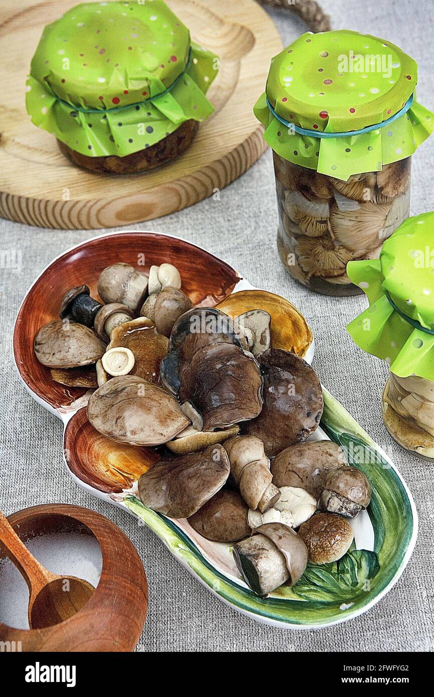 Funghi marinati. Piatto polacco Foto Stock