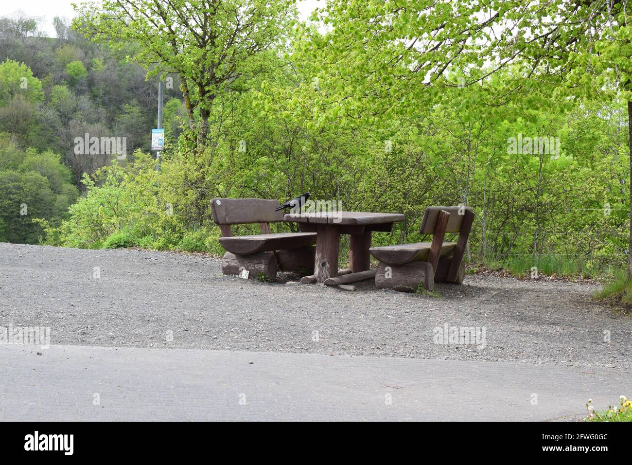 Raven in un tavolo da picnic Foto Stock