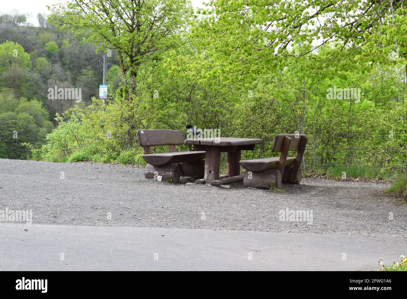 Raven in un tavolo da picnic Foto Stock