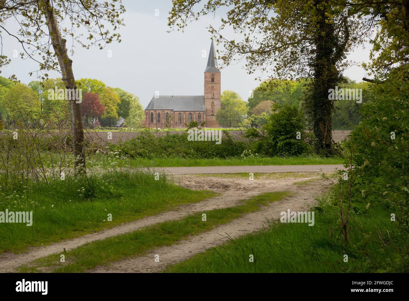 Il Jacobskerk nel villaggio olandese Rolde, una chiesa gotica ai margini del villaggio, al confine con un campo, visto da una pista sterrata Foto Stock