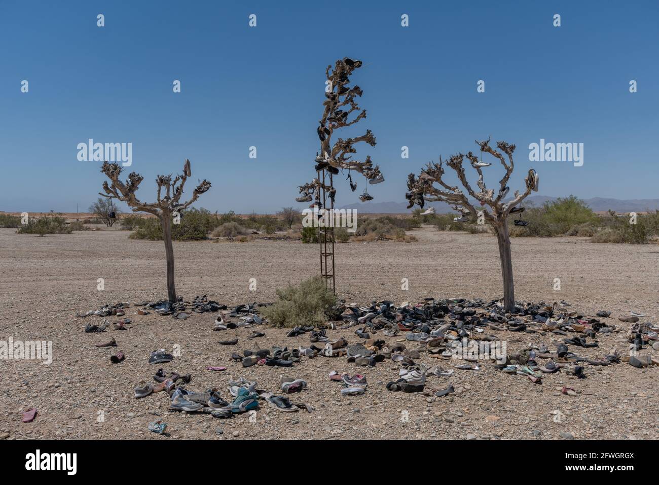 Mostra gli alberi a Slab City vicino a Salton Sea, California meridionale Foto Stock
