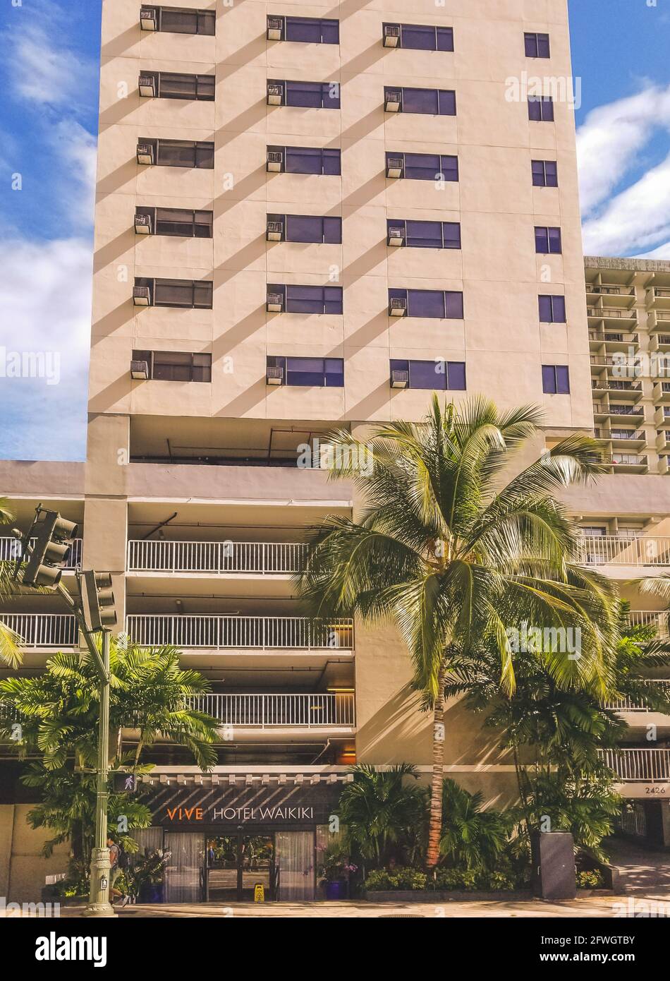 Waikiki Hawaii Novembre 2019: Vista sulla strada dell'Hotel vive nel pomeriggio con palme verticali Foto Stock
