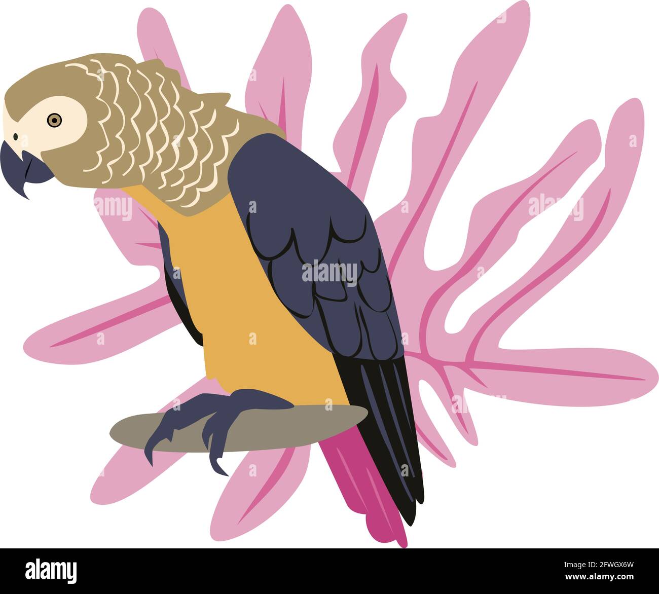 Pappagallo colorato disegnato a mano tropicale con piante e foglie. Pappagallo grigio. Illustrazione vettoriale isolata su sfondo bianco. Illustrazione Vettoriale