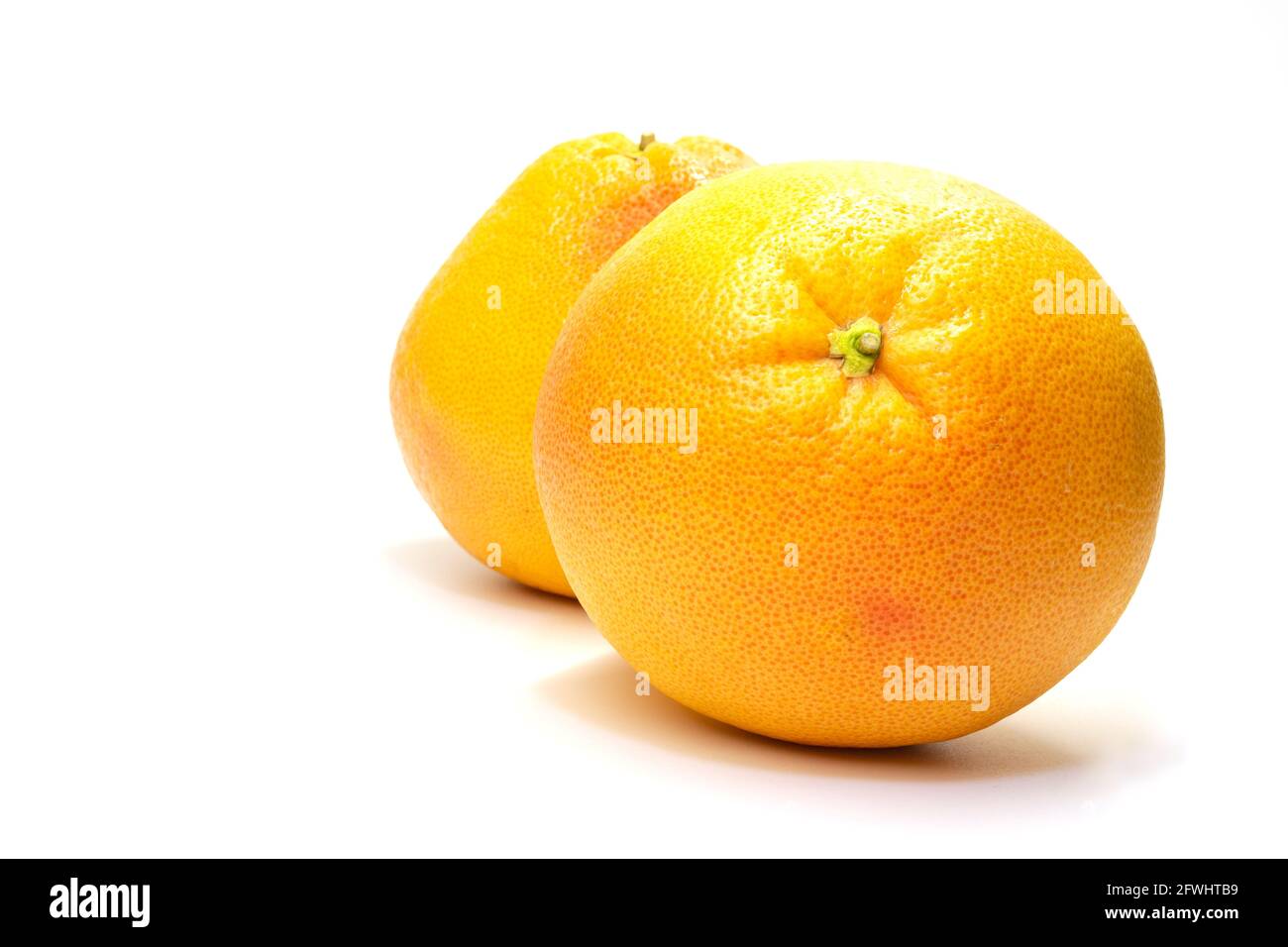 due pompelmi su sfondo bianco si trovano uno dopo l'altro Foto Stock