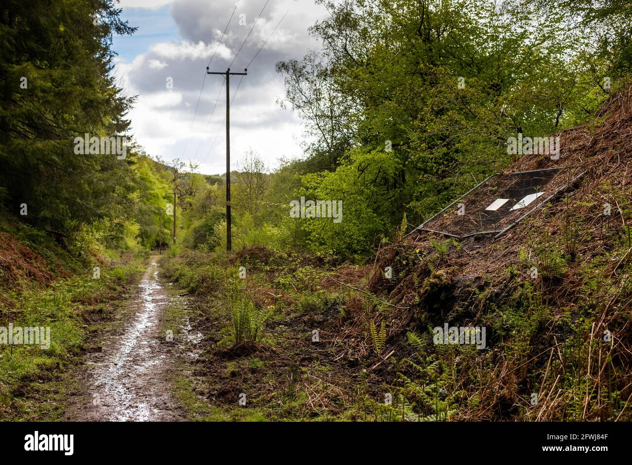 Old Tramway, Foresta di Dean minerario e cava. Bixslade Geology Walk. Foto Stock