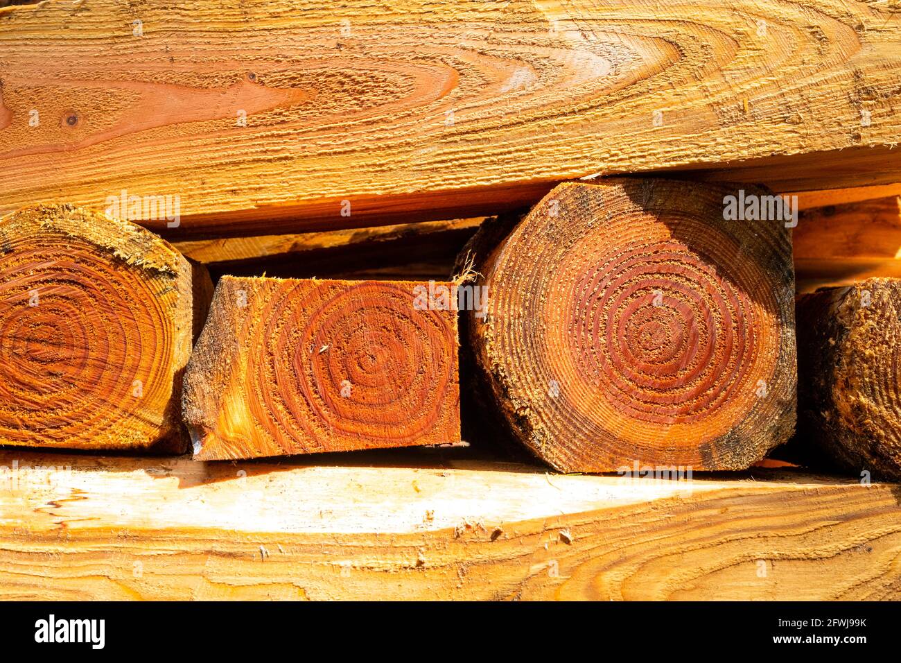 Sawn pit puntoni pronti per l'uso Monument Freemine, Foresta di Dean. Bixslade Geology Walk. Foto Stock