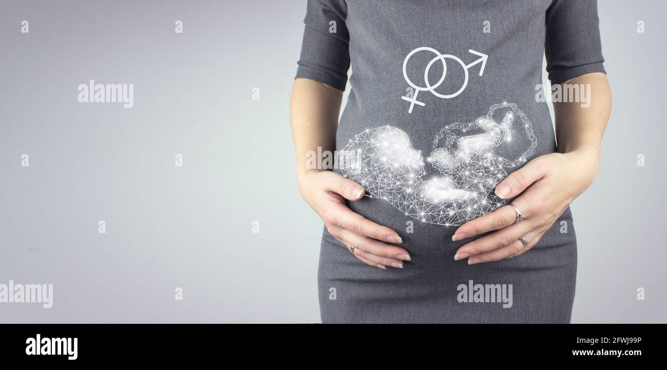 Sezione centrale della donna incinta che tocca il ventriglio con il feto di ologramma da sfondo grigio. Primo piano, spazio per la copia. Foto Stock