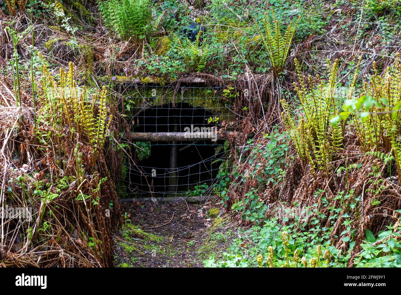 Ingresso alla miniera di Freeminer di Bixslade Low. Bixslade Geology Walk. Foto Stock