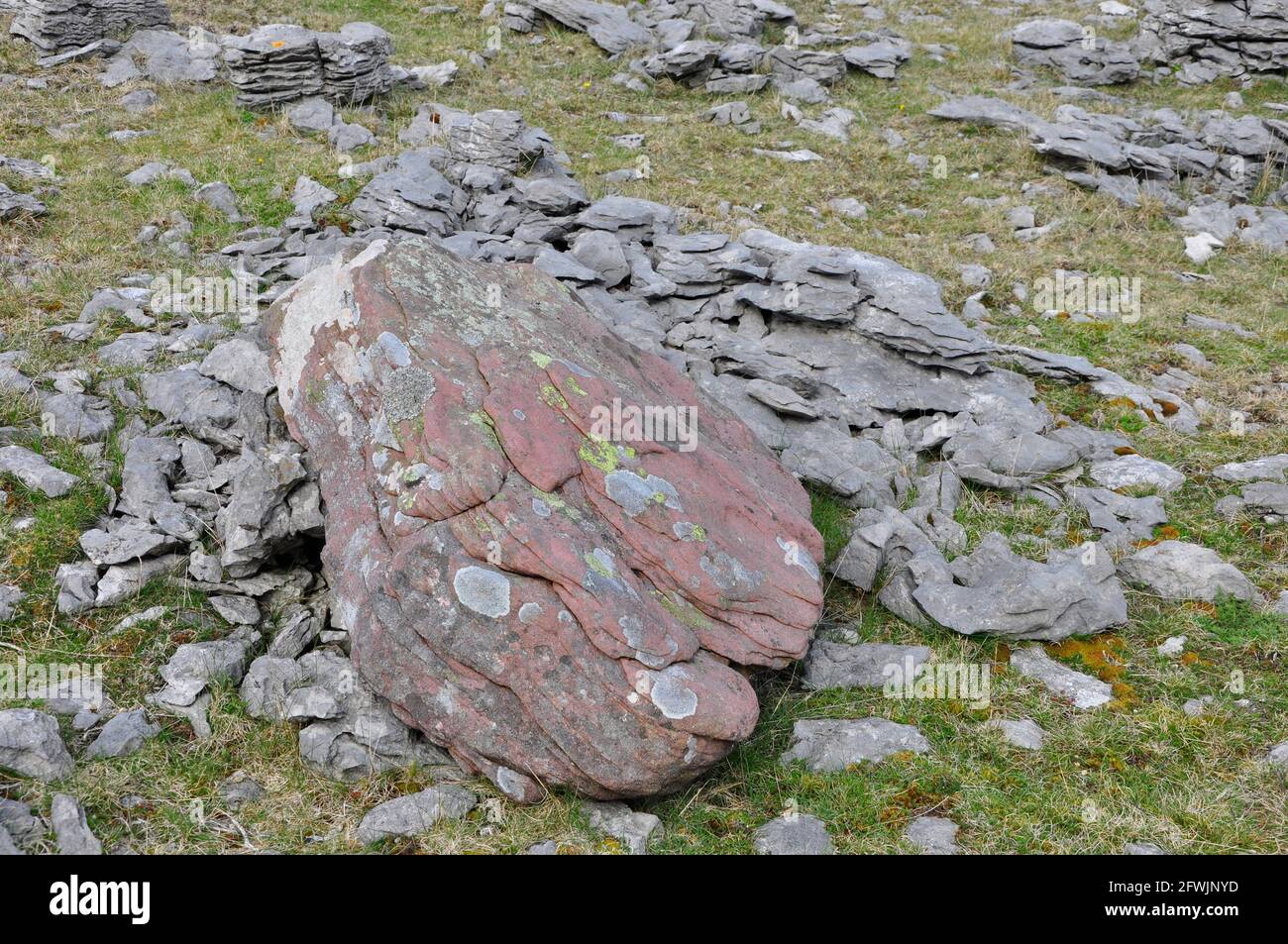 Affioramento calcareo Carbonifero con una vecchia pietra arenaria rossa ricoperta di licheni boulder sulla montagna sopra Dan-yr-Ogof grotte nel nero Montagne, Sud Ovest Foto Stock