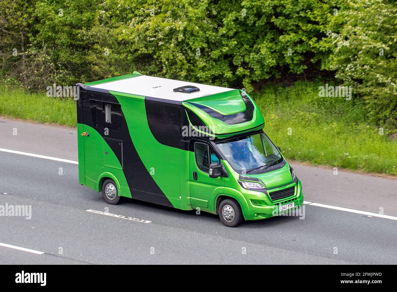 2015 Peugeot Boxer 335 Professional L3h2hdi furgone nero a scatola equina verde; conversione furgone da carrozza trasporto di animali equini in viaggio sull'autostrada M61, Manchester, Regno Unito Foto Stock