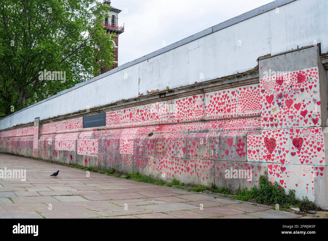 National Covid Memorial Wall in una giornata di lavoro a Lambeth, Londra, Regno Unito. Cuori rossi disegnati su un muro che rappresenta ogni morte di COVID 19. Uccello Foto Stock