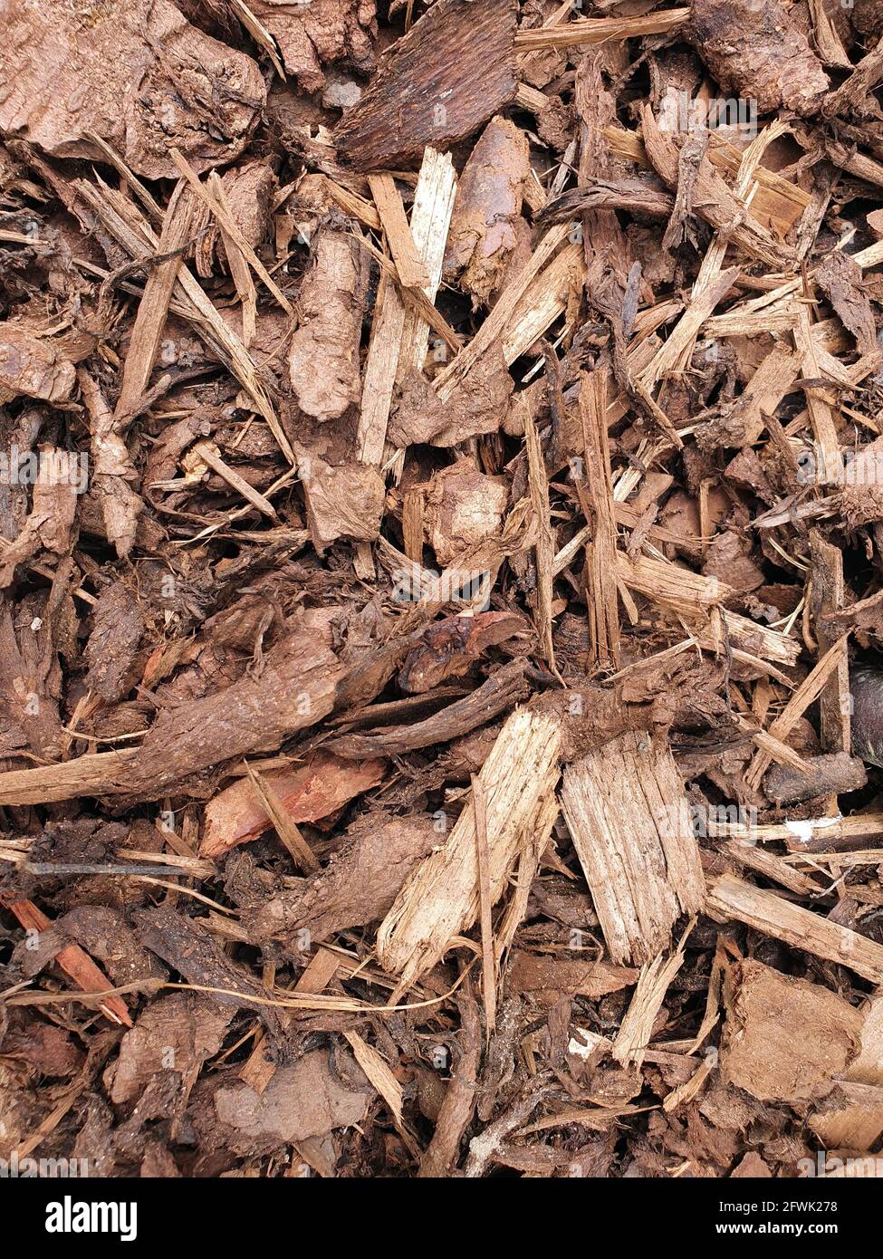 Schegge di corteccia di chip di legno che sono state frantumate per l'uso come un pacciame da giardino dall'industria del legname che può sia usato come backgro astratto di tessitura Foto Stock