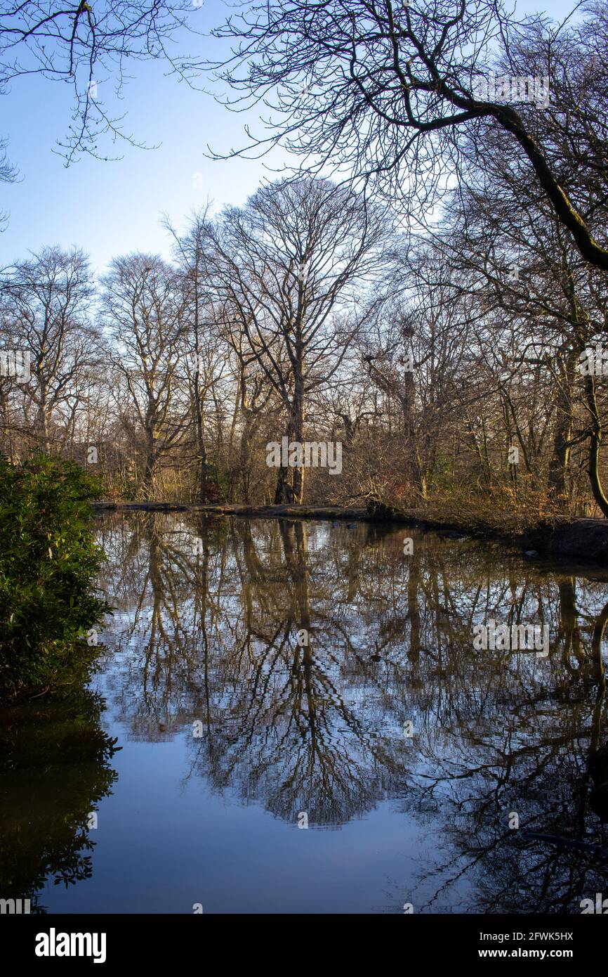 Gli alberi intorno al lago visti sulla nostra passeggiata sono Beatifully riflesso nelle acque calme a Woodhall Lake vicino Calverley nello Yorkshire Foto Stock