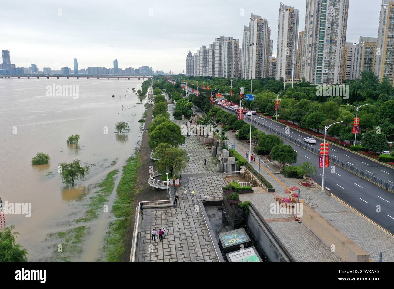 Nanchang. 23 maggio 2021. Foto aerea scattata il 23 maggio 2021 mostra gli alberi immersi in acqua lungo il fiume Ganjiang a Nanchang, provincia di Jiangxi nella Cina orientale. Il livello dell'acqua del fiume Ganjiang è in aumento a causa della pioggia torrenziale. Credit: Peng Zhaozhi/Xinhua/Alamy Live News Foto Stock