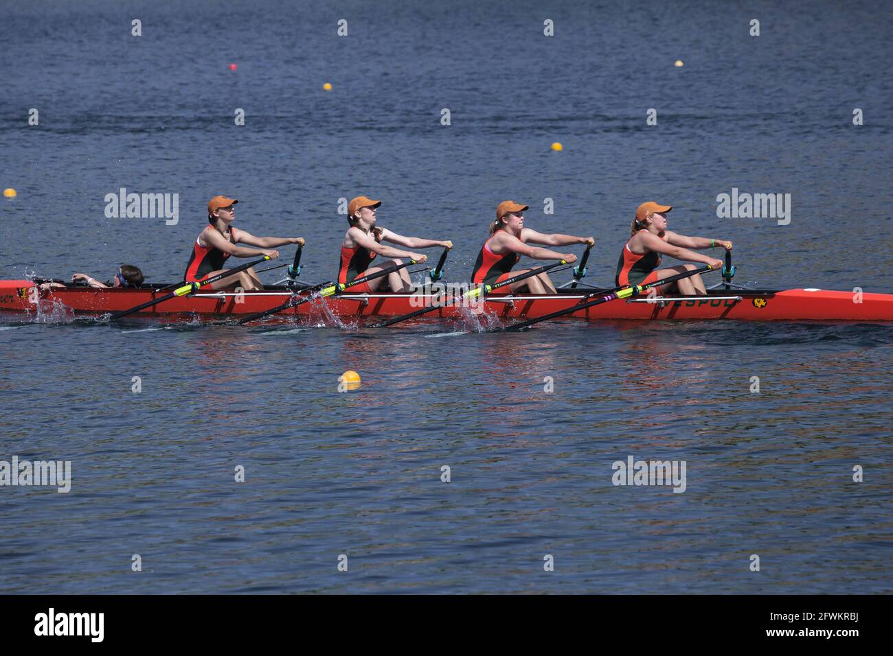 Giovane donna coxed quad rowing in unison alla regata. Lago Natoma, California Foto Stock