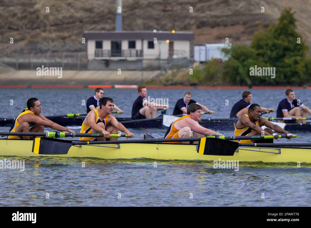 Collegiate otto squadre di canottaggio in stretta gara a regata a Lake Natoma, California Foto Stock