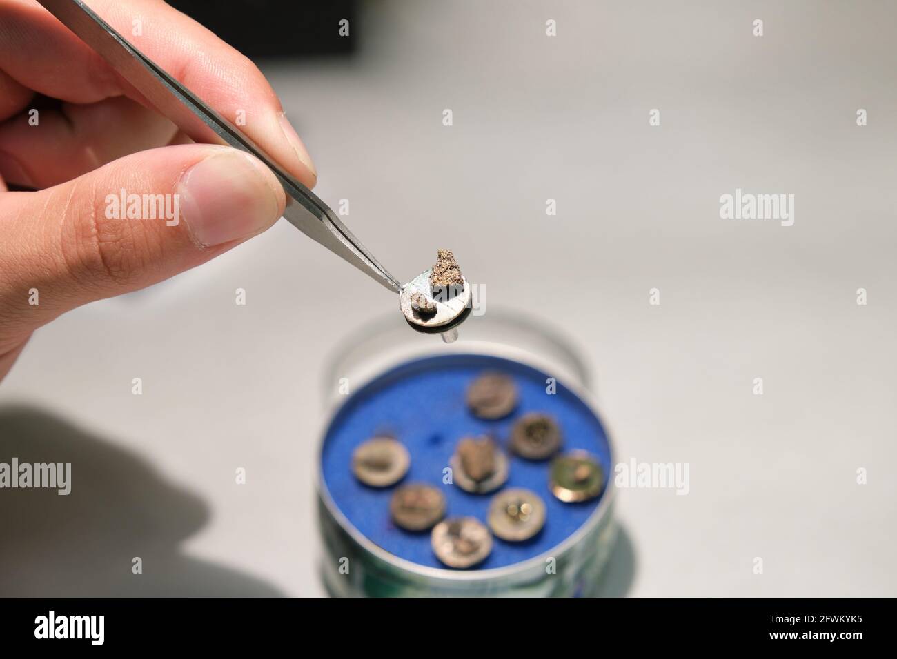 Mano scientifica che tiene una pinzetta con un campione di microscopio elettronico a scansione su un supporto per campioni. Pin SEM da analizzare. Foto Stock Mano scientifica che tiene una pinzetta con un campione di microscopio elettronico a scansione su un supporto per campioni. Pin SEM da analizzare. Foto Stock