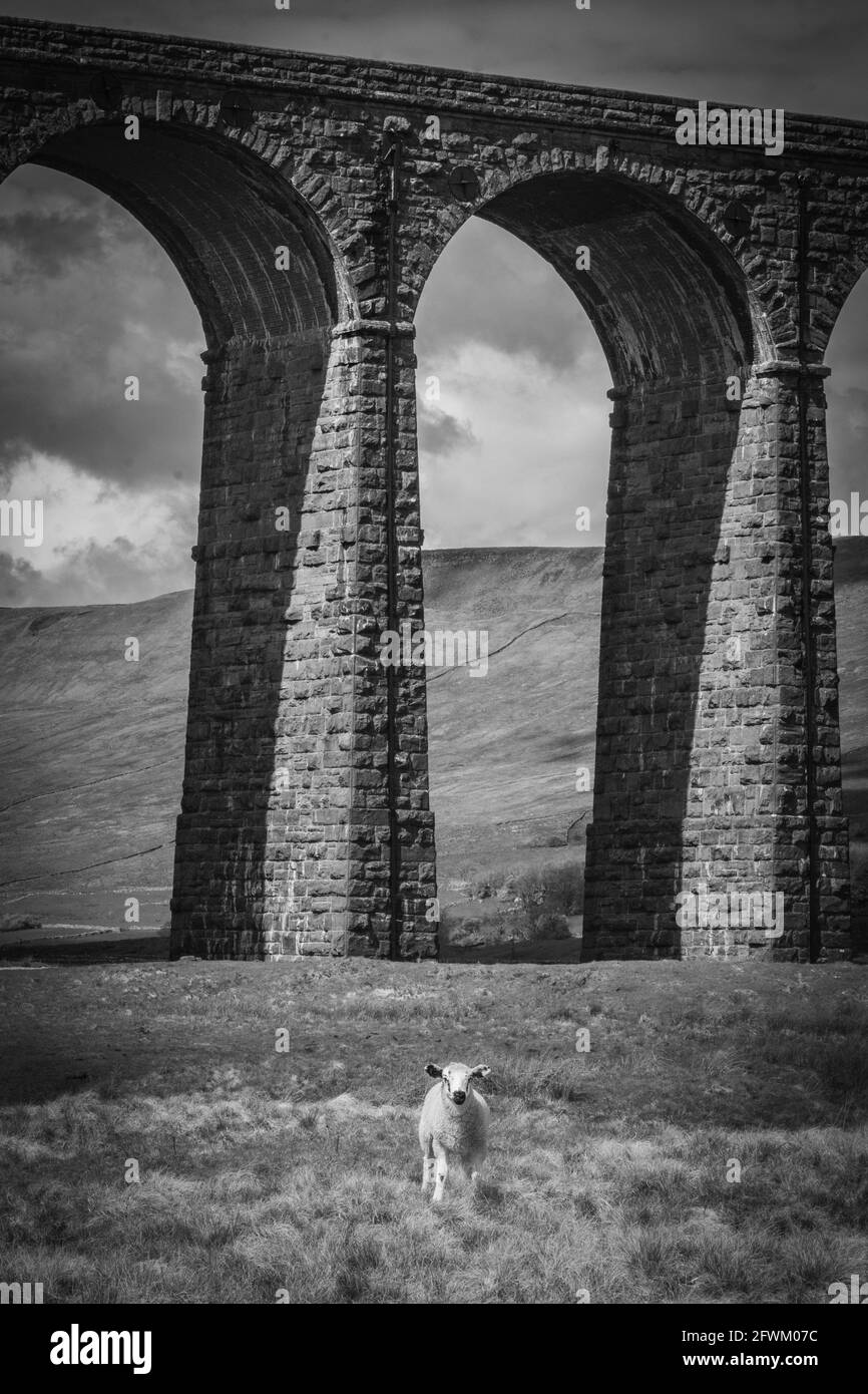 Ribblehead Viadotto, Yorkshire Dales, Regno Unito Foto Stock