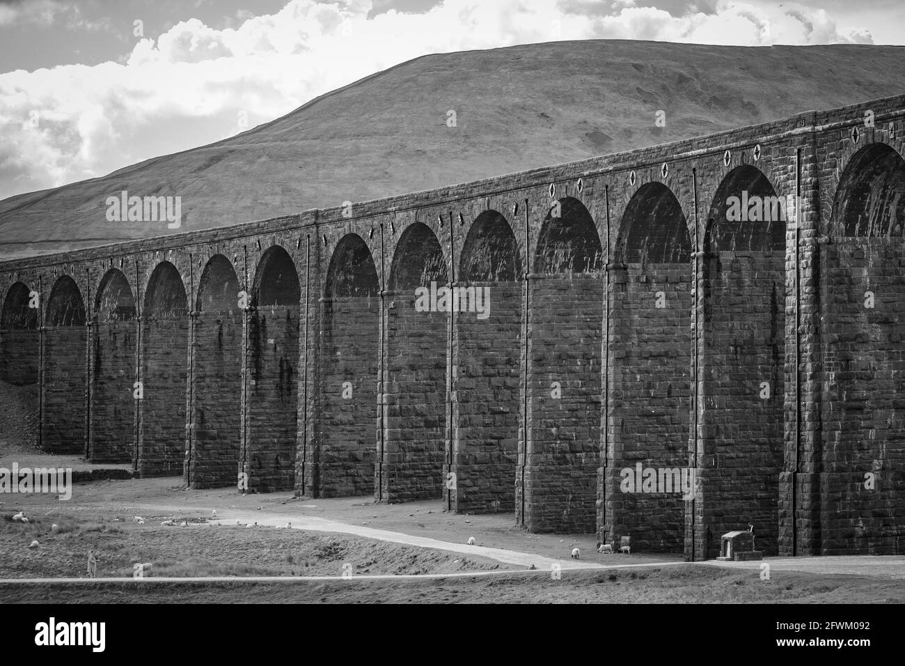 Ribblehead Viadotto, Yorkshire Dales, Regno Unito Foto Stock