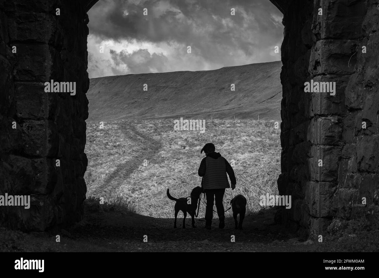 Ribblehead Viadotto, Yorkshire Dales, Regno Unito Foto Stock