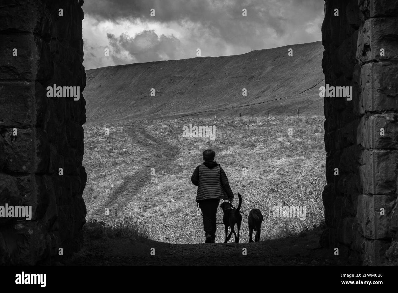 Ribblehead Viadotto, Yorkshire Dales, Regno Unito Foto Stock