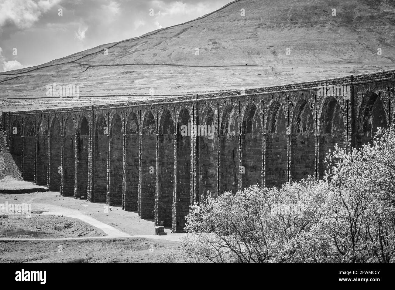 Ribblehead Viadotto, Yorkshire Dales, Regno Unito Foto Stock
