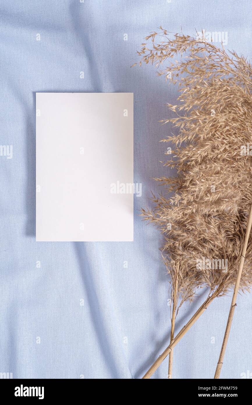 Carta bianca bianca mockup di carte con pampas erba secca su tessuto di colore blu neutro Foto Stock