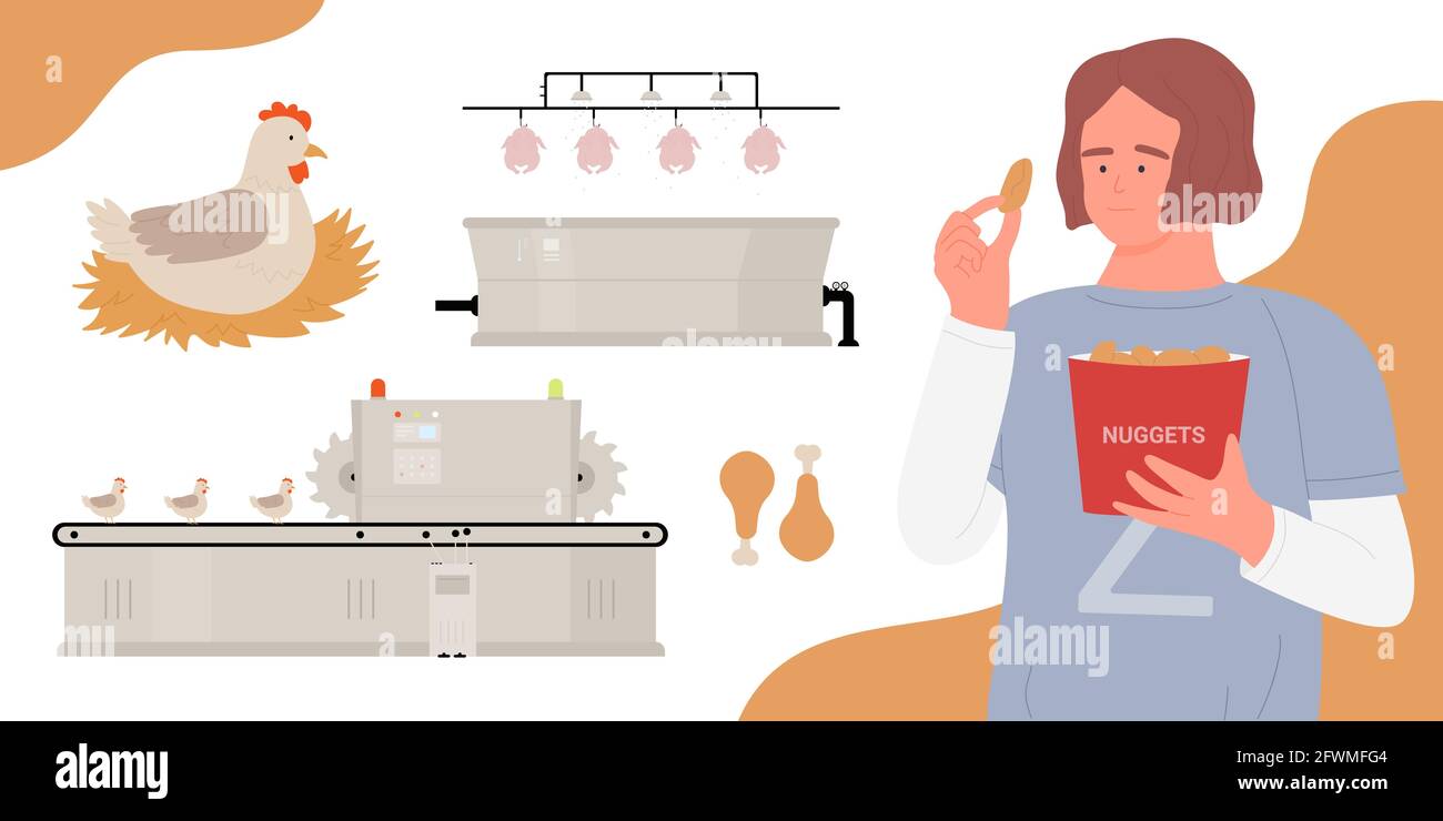 Illustrazione vettoriale dei prodotti a base di carne di pollo. Cartoon ragazza teen personaggio mangiare pepite di pollo, catena di produzione con pulcini fattoria su attrezzature di trasportatore di fabbrica a nastro, avicolo settore alimentare background Illustrazione Vettoriale