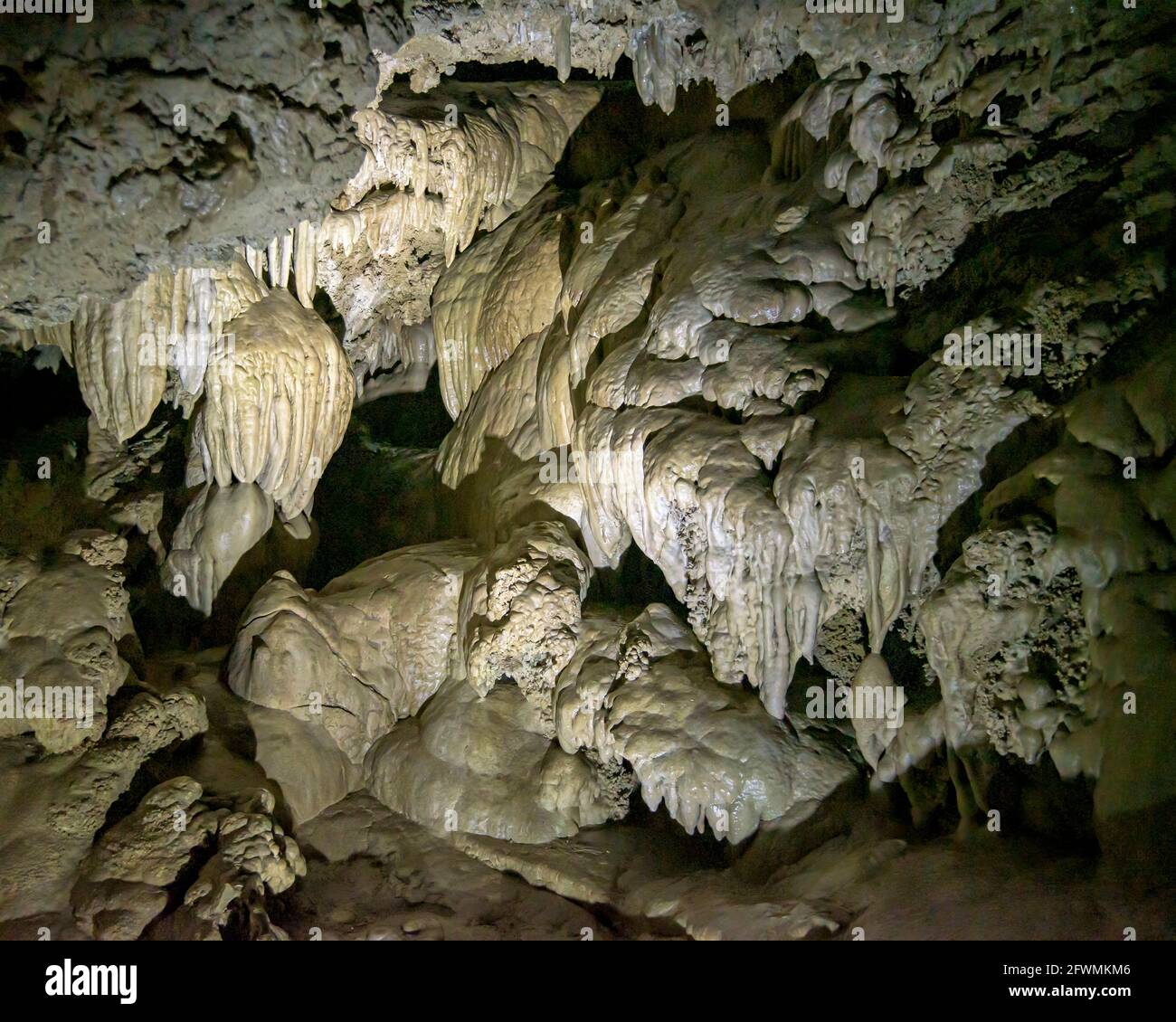 Camera Paradise Lost all'Oregon Caves National Monument, Oregon meridionale. Foto Stock