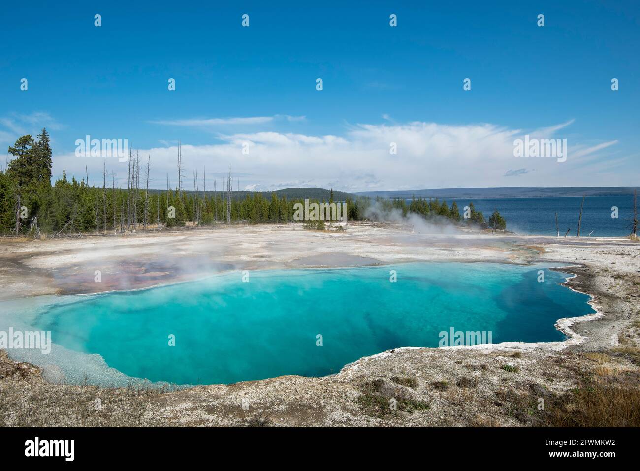 Abyss Pool sorgenti termali calde nel West Thumb Geyser Basin del Yellowstone National Park, Wyoming, Stati Uniti. Foto Stock